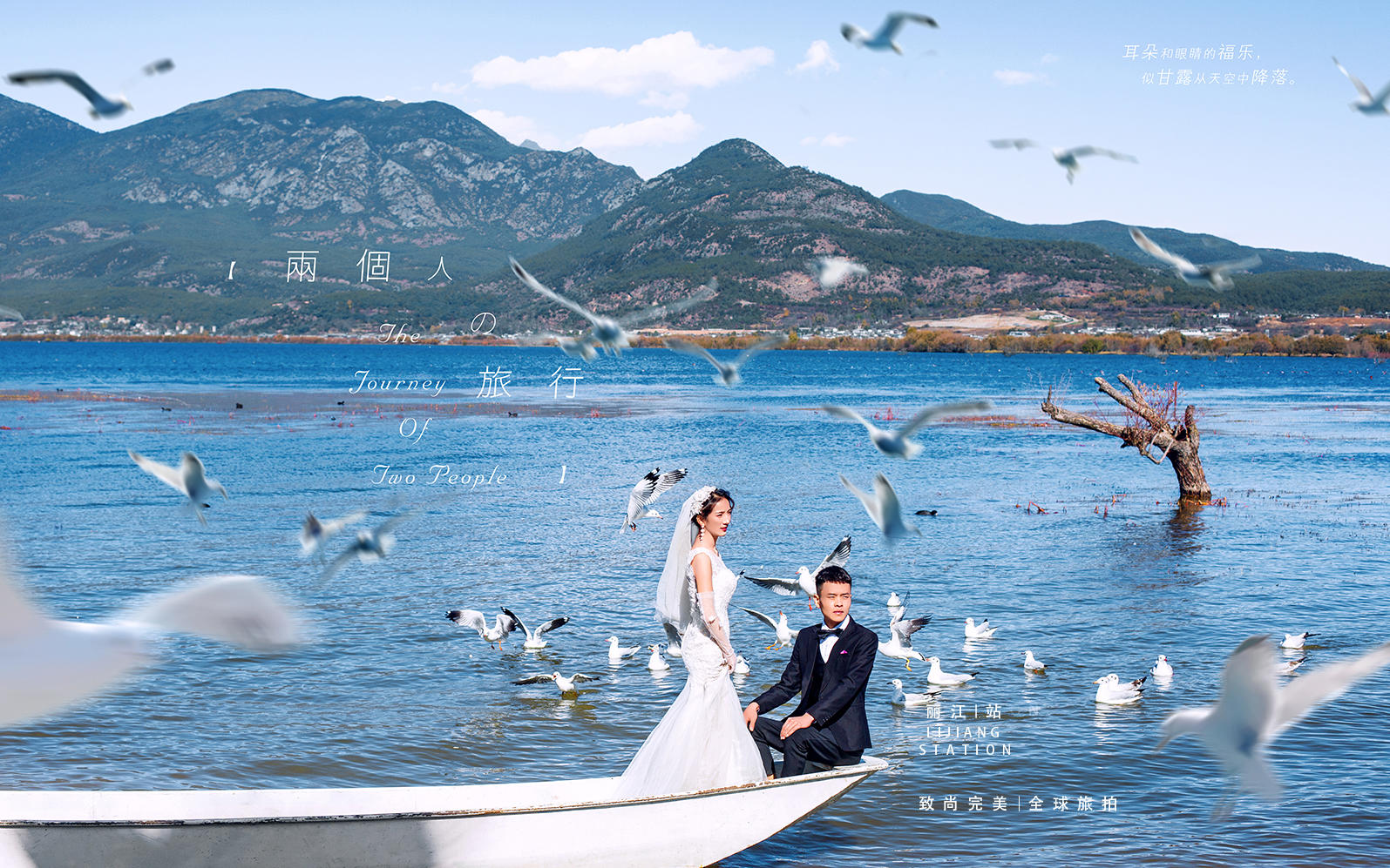 婚纱摄影素材图片(图1)